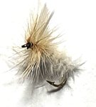 Stillwater Dry White Moth - 1 Dozen